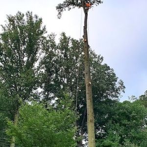 Meet your Posher, Junior